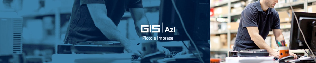 Ranocchi Gis Azienda